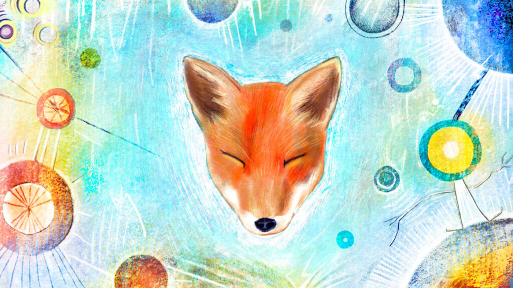 A fox