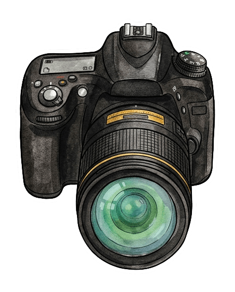 Reflex