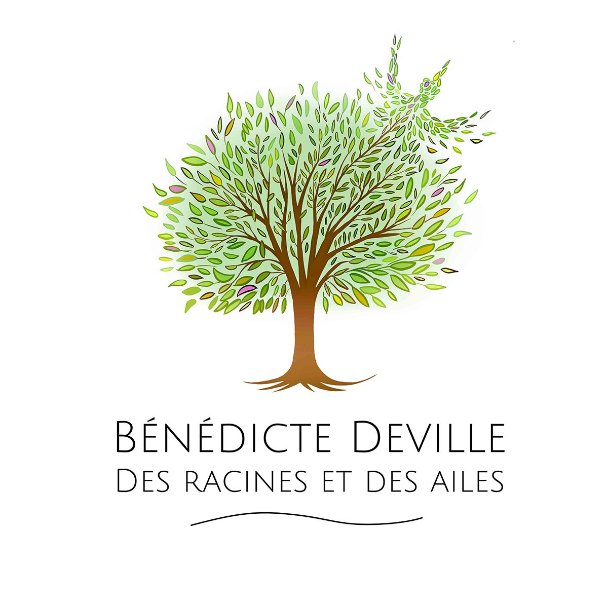 Logo Round 5 - 6
